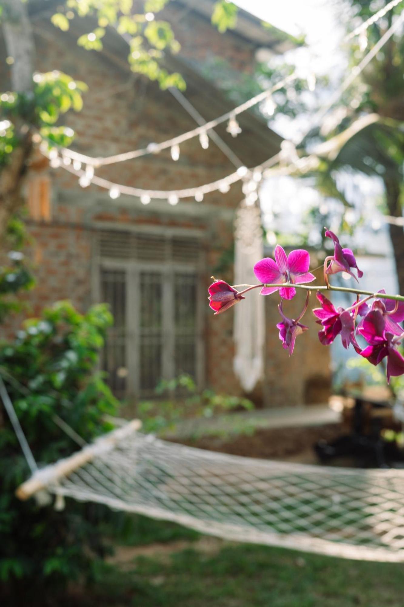 Hostel Chill Vibes Hiriketiya Dikwella Exterior foto