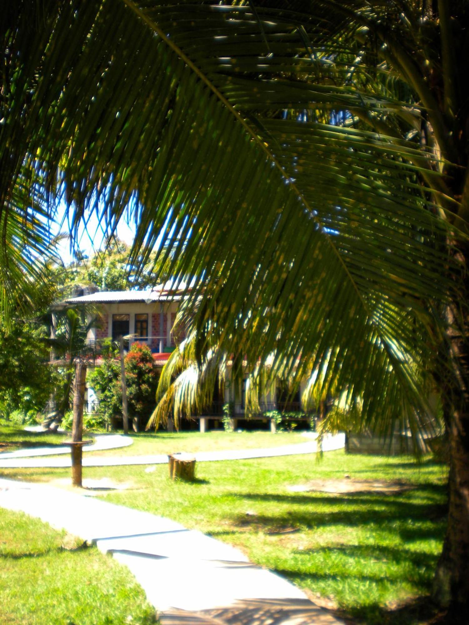 Hostel Chill Vibes Hiriketiya Dikwella Exterior foto