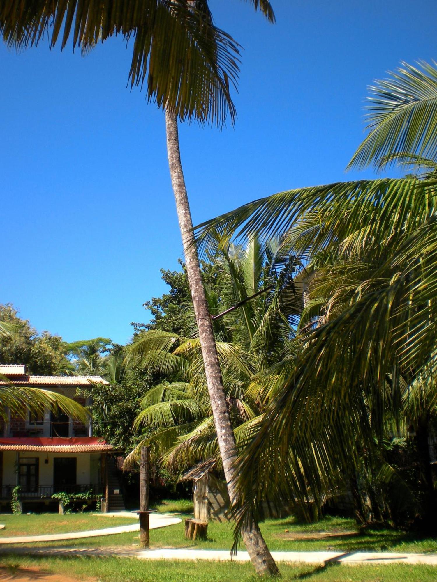 Hostel Chill Vibes Hiriketiya Dikwella Exterior foto